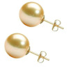 Cercei de Aur cu Perle Premium AAA Crem